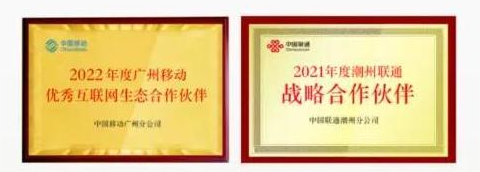 乔良广告合作伙伴奖牌
